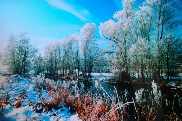 Rauhreif an der Schmutter | Foto: Dietrich Papke, Gersthofen
