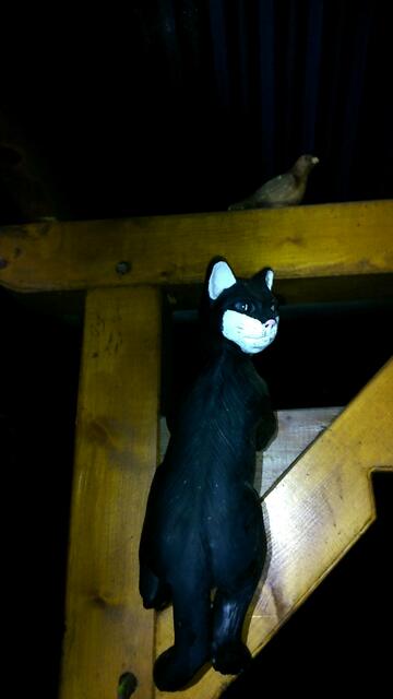 Erwischt! In tiefer Nacht! Sie bedeutet auch wenn es so aussehen mag für die Vogelwelt keine Gefahr!