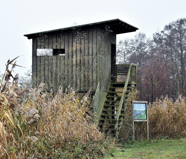 Aussichtsturm am südlichen Ende des Hüttensees