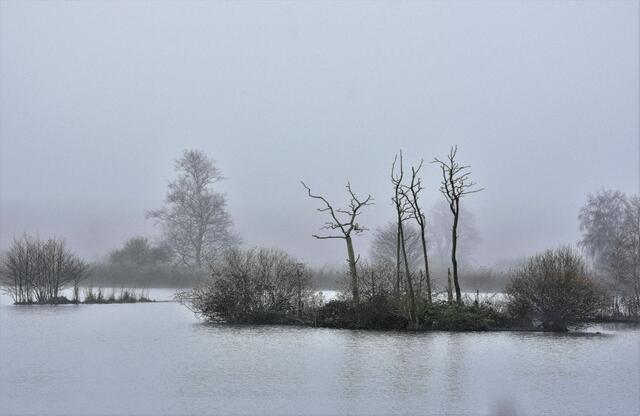 Der benachbarte Teich