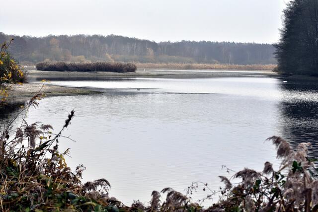 Blick über einen Teil des Hüttensees