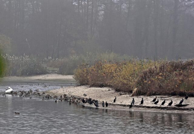 Die kleine Seeinsel ist ein beliebter Rastplatz
