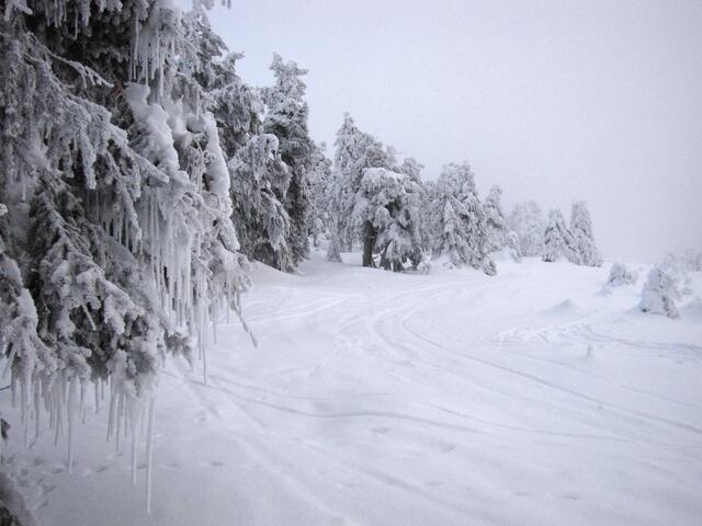 Und natürlich gehört eine schöne Schneelandschaft dazu.