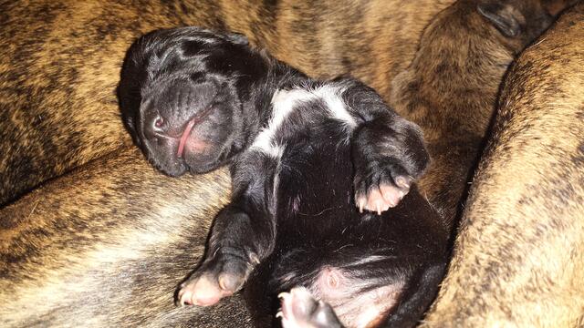 Grad trocken geworden