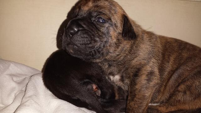 Heute genau 2 Wochen da