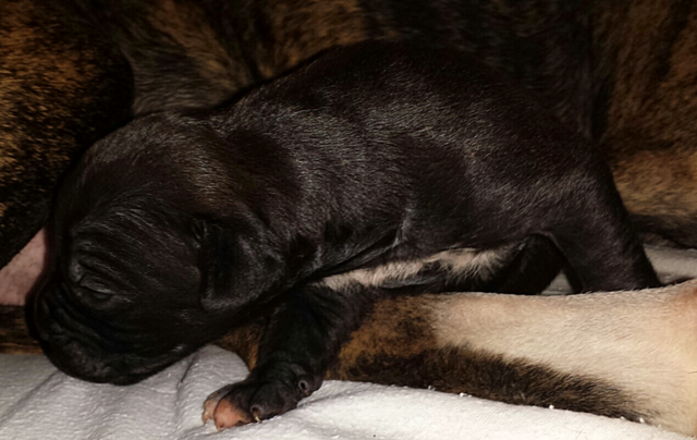 Krabbeln klappt schon ;-)