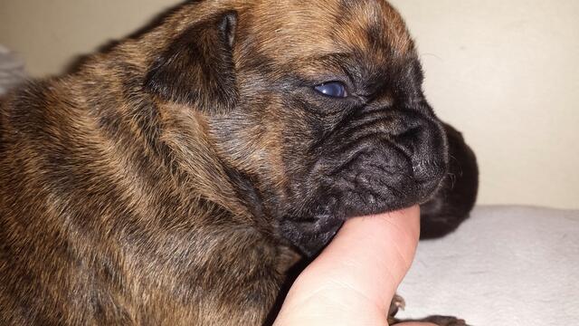 Man darf ja mal kosten.....