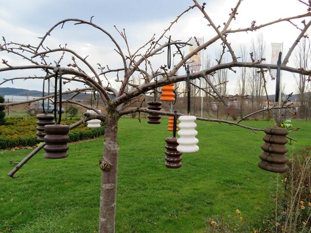 Viele haben Kugeln,aber hier sind Baumkugeln am Baum.