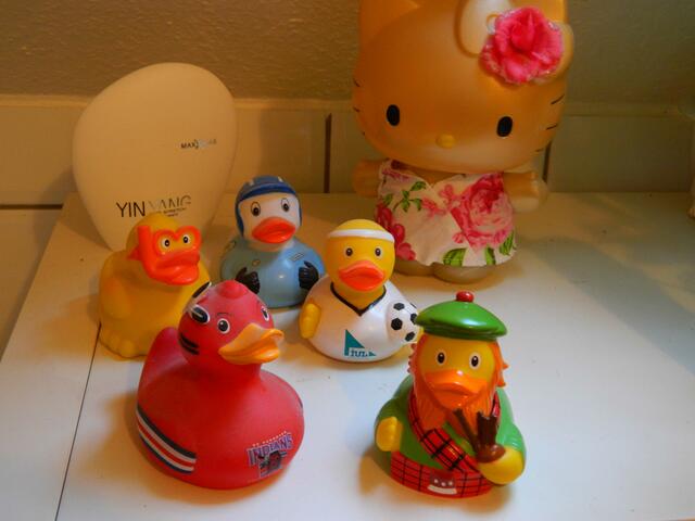 Enten können nie alleine bleiben. Zum Schnattern brauchen sie Gesellschaft.