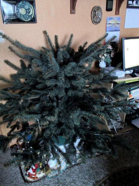 Alles wird mal "geschlachtet" auch ein Weihnachtsbaum muss mal daran glauben / 10.1.2017 !!!