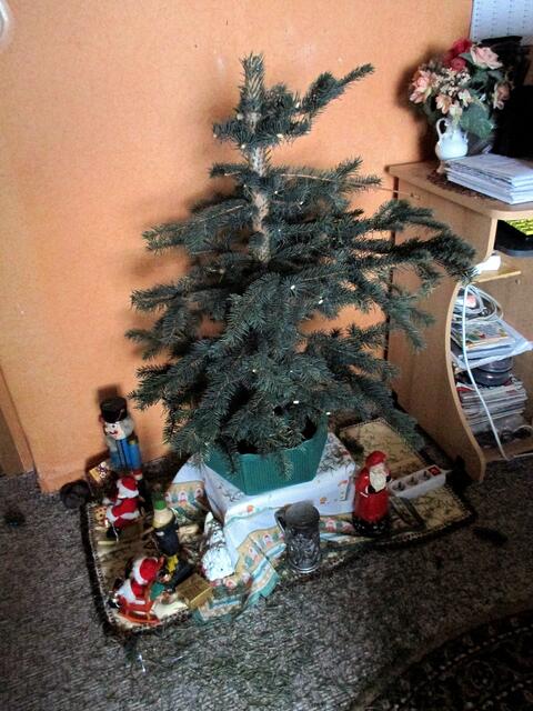 Alles wird mal "geschlachtet" auch ein Weihnachtsbaum muss mal daran glauben / 10.1.2017 !!!