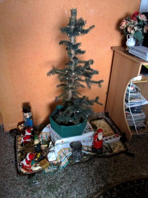 Alles wird mal "geschlachtet" auch ein Weihnachtsbaum muss mal daran glauben / 10.1.2017 !!!