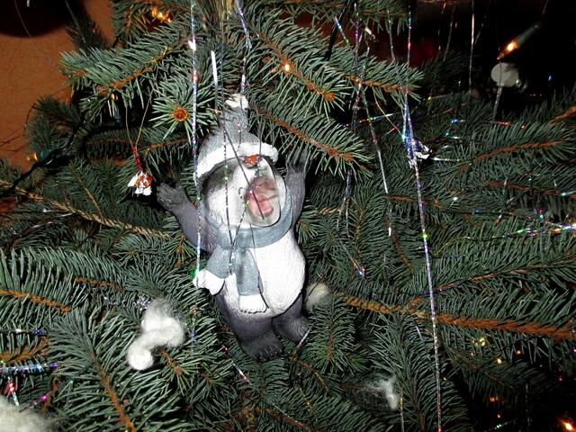 Alles wird mal "geschlachtet" auch ein Weihnachtsbaum muss mal daran glauben / 10.1.2017 !!!