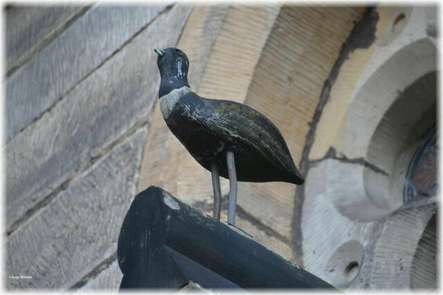 Steinerner Vogel auf dem First der seitlichen Eingangstür am Hauptportal der Gartenkirche Hannover (Foto: Katja Woidtke)