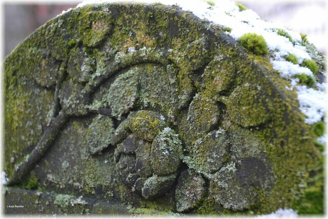 Steinerne Rose als Grabschmuck auf dem Gartenfriedhof Hannover (Foto: Katja Woidtke)