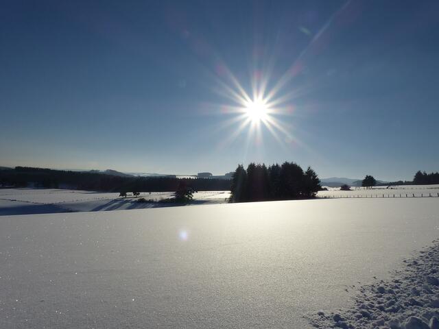 16.01 2017 Schnee und Sonnenschein