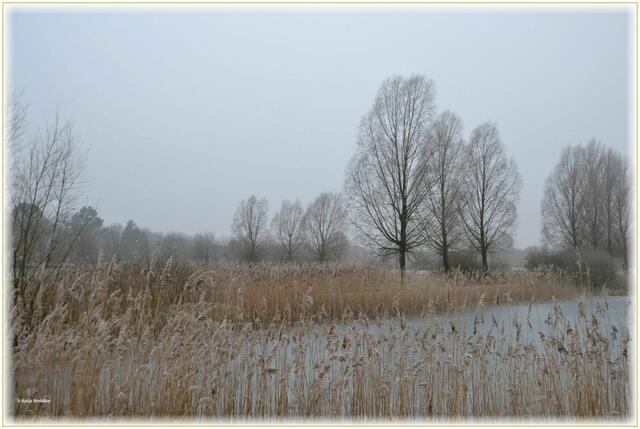 Der Wietzepark wurde im Jahr 2000 als Landschaftsgarten angelegt und hat auch im Winter seine Reize (Foto: Katja Woidtke)
