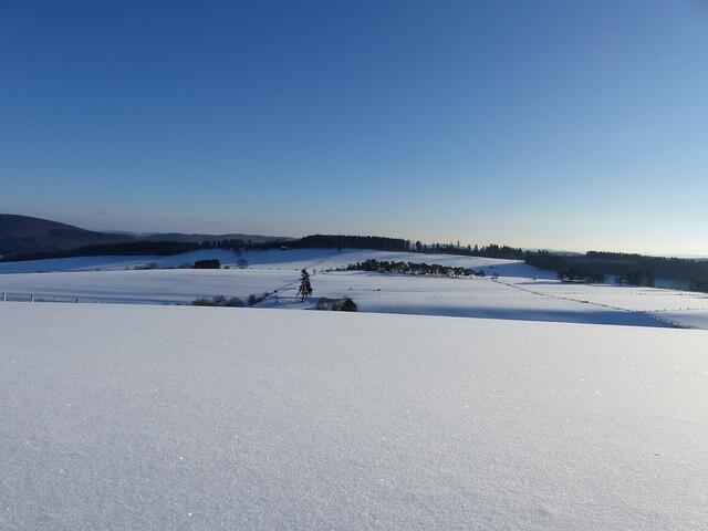 16.01 2017 Schnee und Sonnenschein
