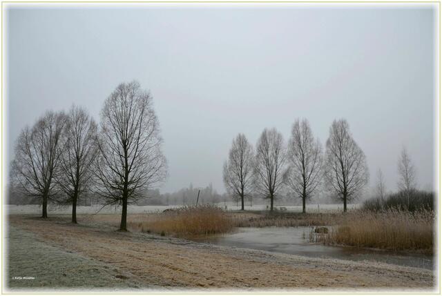 Der Langenhagener Wietzepark ist auch im Winter ein attraktives Ausflugsziel (Foto: Katja Woidtke)