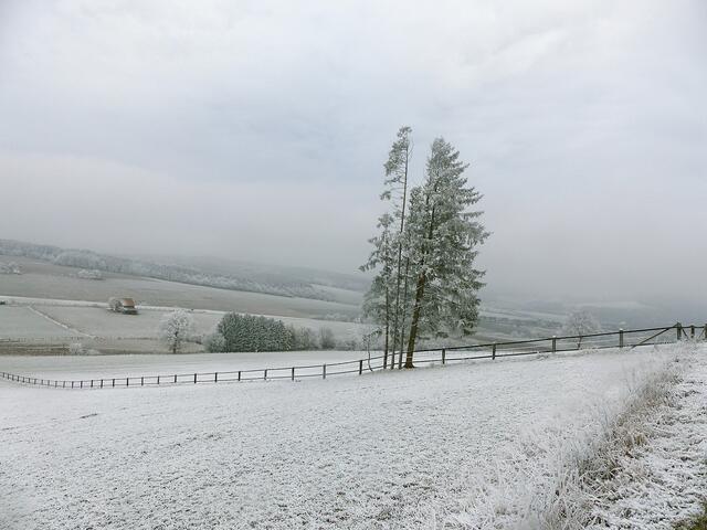 07.12.2016  Nebel und Frost.