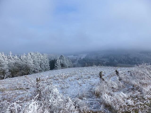 08.12.2016 Nebel und Frost