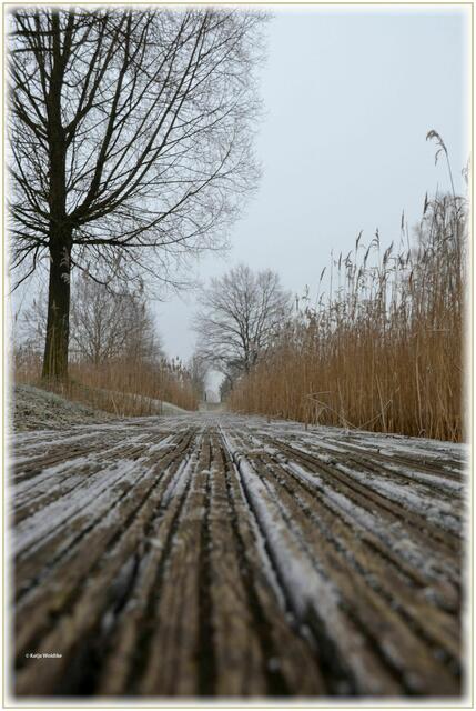 Steg im winterlichen Wietzepark (Foto: Katja Woidtke)