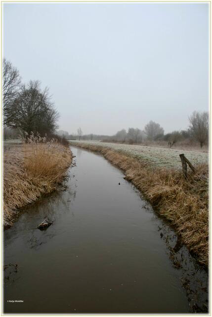 Die Wietze fließt durch den gleichnamigen Park und ist Grenze zwischen dem Langenhagener und Isernhagener Teil der Grünanlage (Foto: Katja Woidtke)