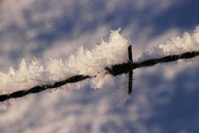 Stacheldraht