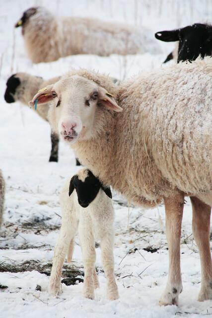 Ganz neu auf der Welt
