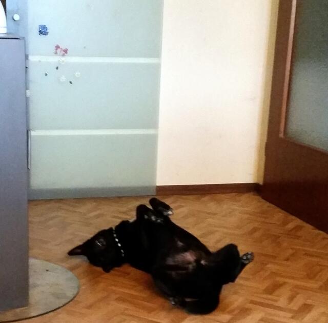 Und nun den Bauch aufwärmen