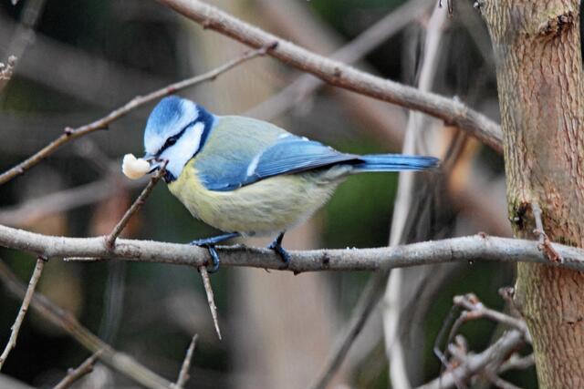 "Mir ist nichts zu groß!"