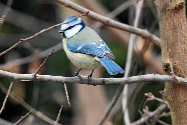 "Ich möchte jetzt endlich ungestört weiteressen und ...