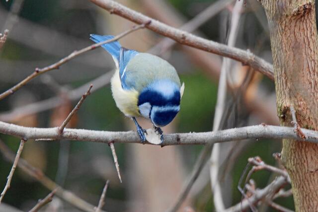 "Nix da, das ist alleine meins!"