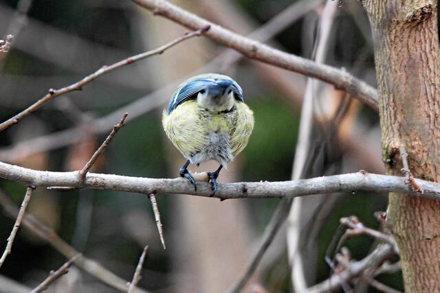 ... du kannst mich mal .. ..... .......!"