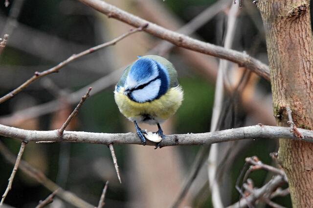 "Nein, ich meinte nur, es ist doch so viel zu groß!"