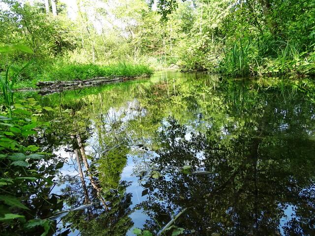 Wertachau (bei Bobingen)