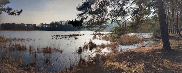 Der vereiste Würmsee