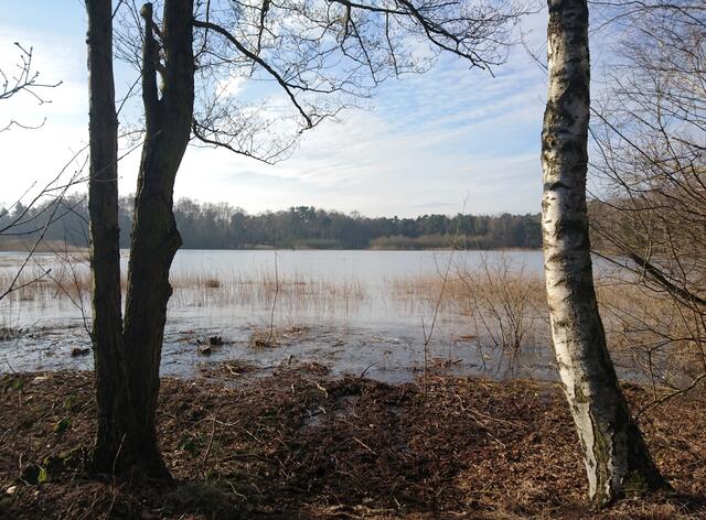 Dank Auslichtung der Uferzonen hat sich der See wieder weiter ausdehnen können.