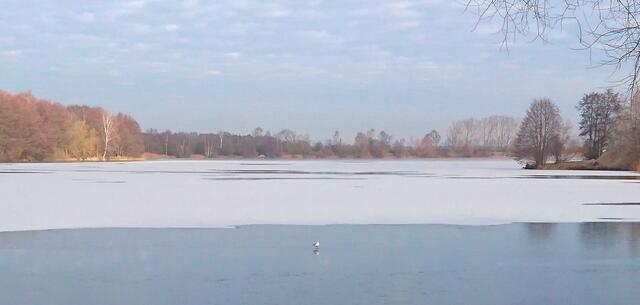 Zauberhafter Wietzesee