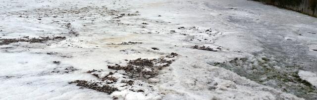 Überall steht das Wasser. Schade, auf dem Bild ist es nicht gut zu sehen