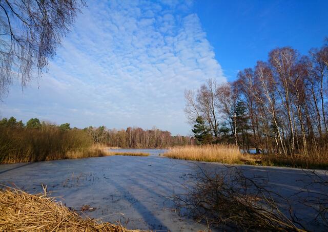 Am Würmsee