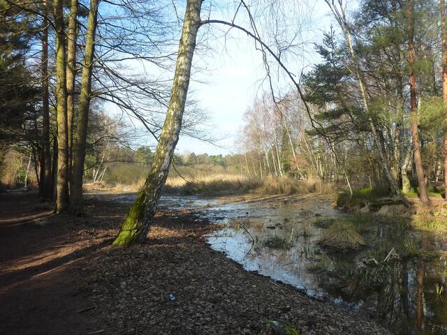 Vom Weg aus hat man nun einen guten Blick auf die Insel.