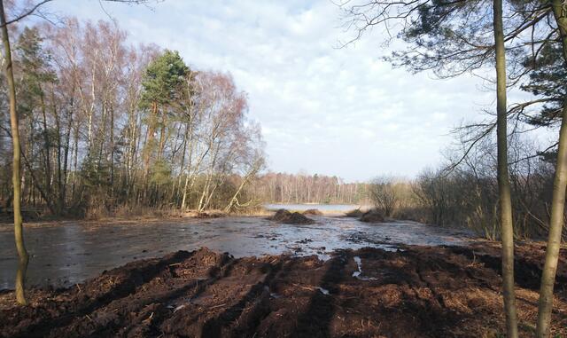 Hier ist so stark ausgebaggert und ausgelichtet worden, dass die Würmseeinsel nun endlich wieder eine Insel ist.
