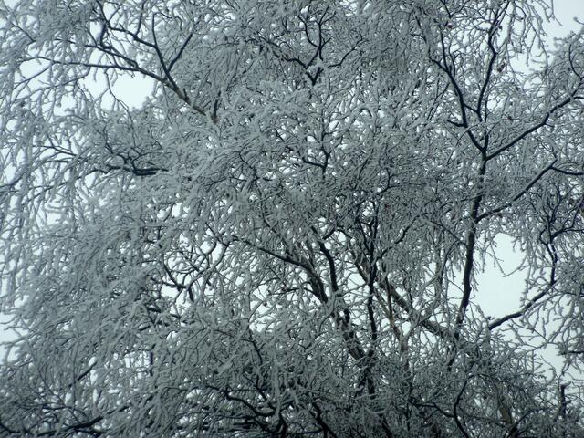 Winterzauber