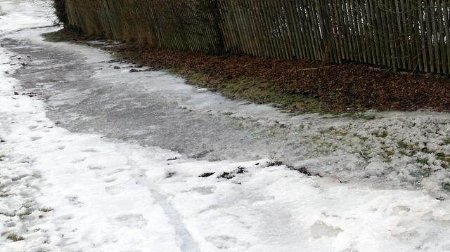 Das war bisher unser Weg. Eine übergelaufene und gefrorene Ach ließ uns einen neuen Weg gehen