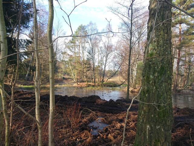 Blick auf die Insel