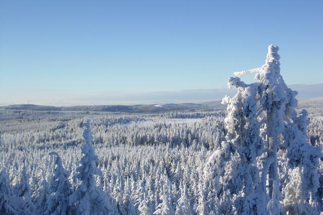Weit reicht der Blick über die Harzwälder Richtung Süden. Bei klarer Sicht kann man auch den Großen Inselberg im Thüringer Wald ausmachen.