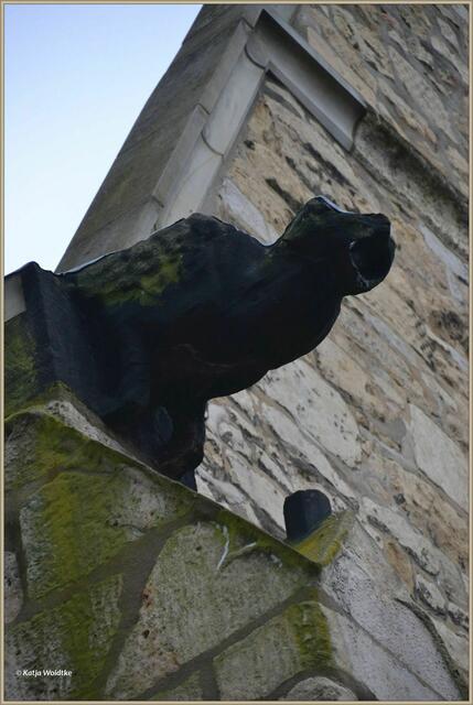 Wasserspeier an der Aegidienkirche Hannover (Foto: Katja Woidtke)