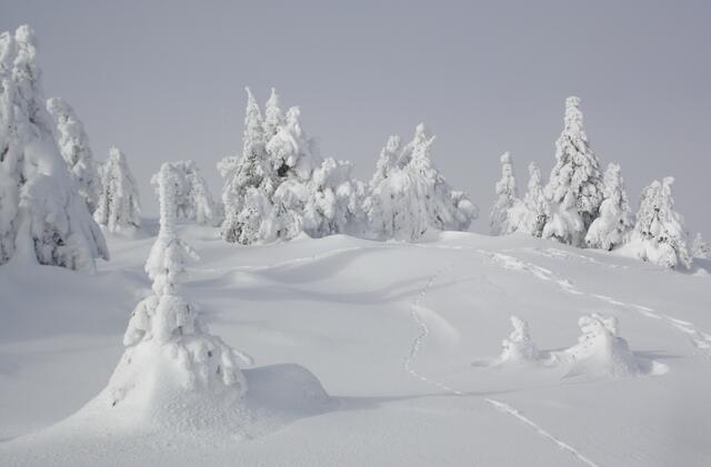 Die Schneehöhe beträgt über einen Meter.