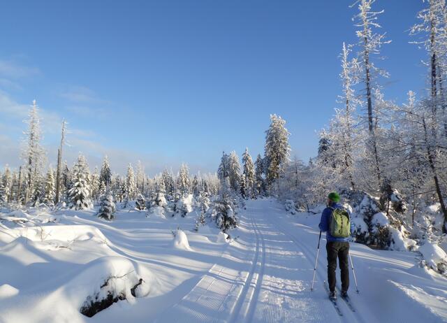 Wir starten unsere Tour bei schönsten winterlichen Verhältnissen am Torfhaus, das allerdings den ganzen Tag im Grau der Wolken liegt und folgen dem Goetheweg.